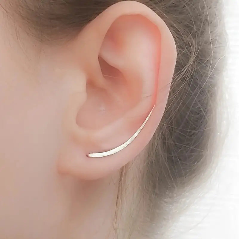 Stylish Minimalist And Exquisite Earrings For Women